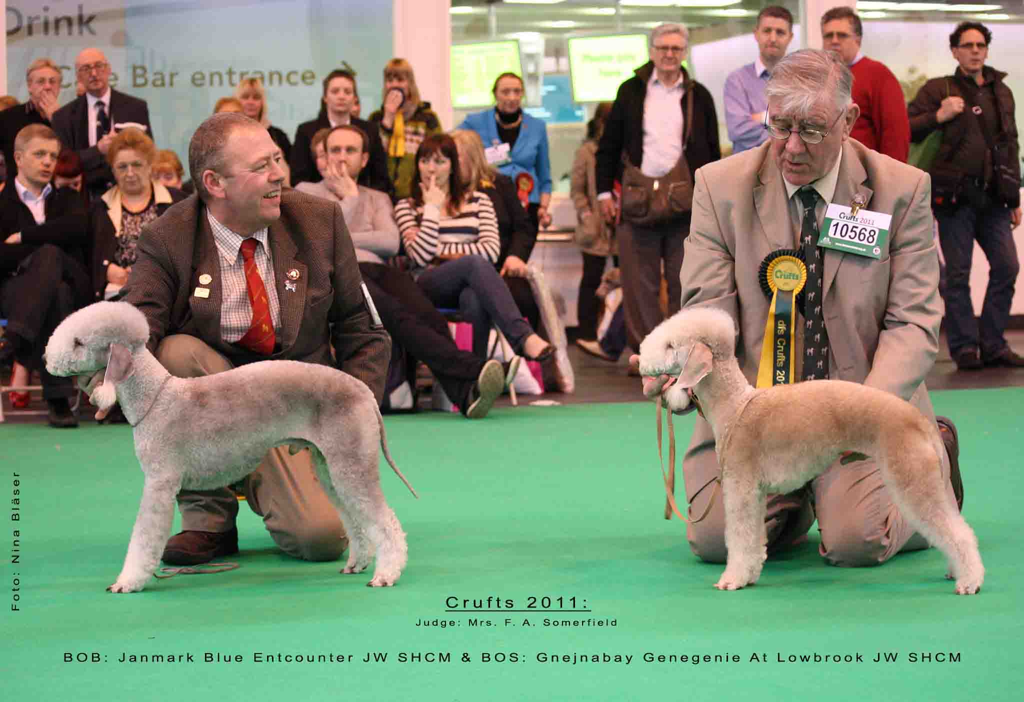 Crufts Best of Breed 2011